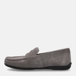 GEOX ASCANIO | Uomo Mocassini