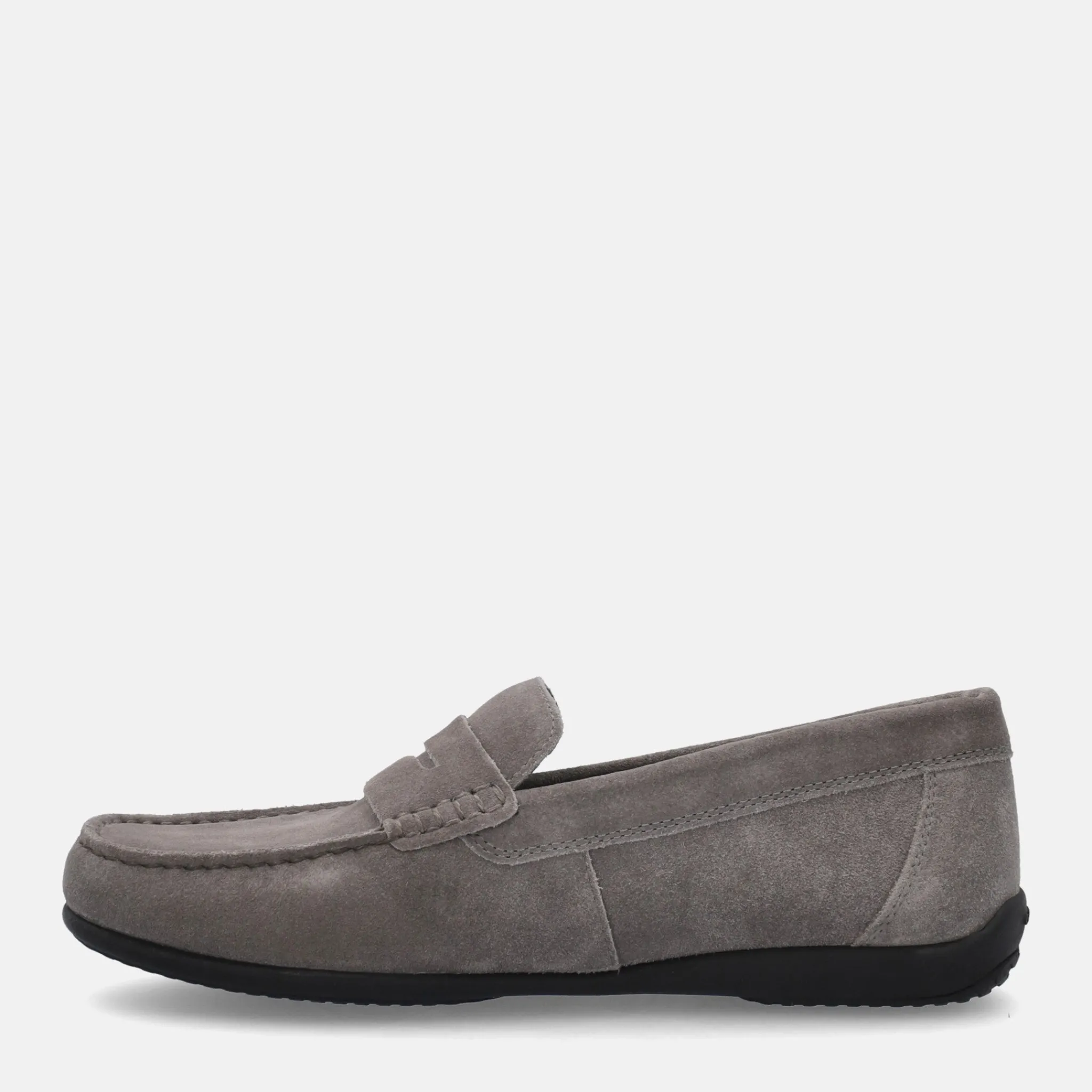 GEOX ASCANIO | Uomo Mocassini
