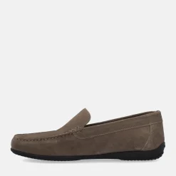 GEOX ASCANIO | Uomo Mocassini
