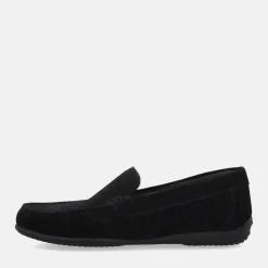 GEOX ASCANIO | Uomo Mocassini