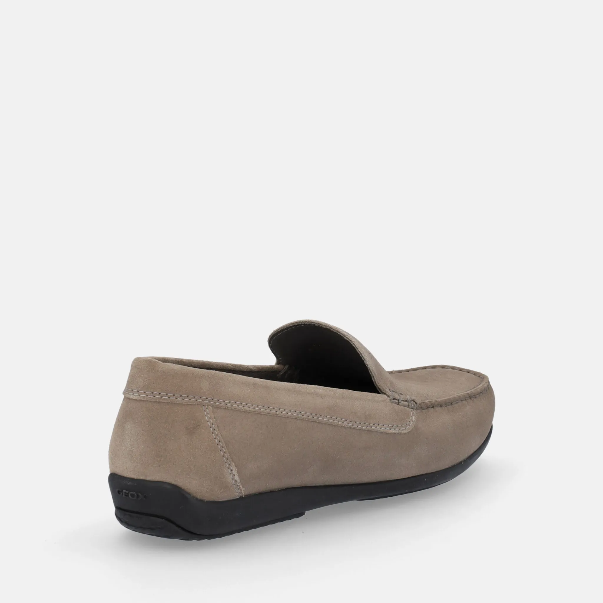GEOX ASCANIO | Uomo Mocassini