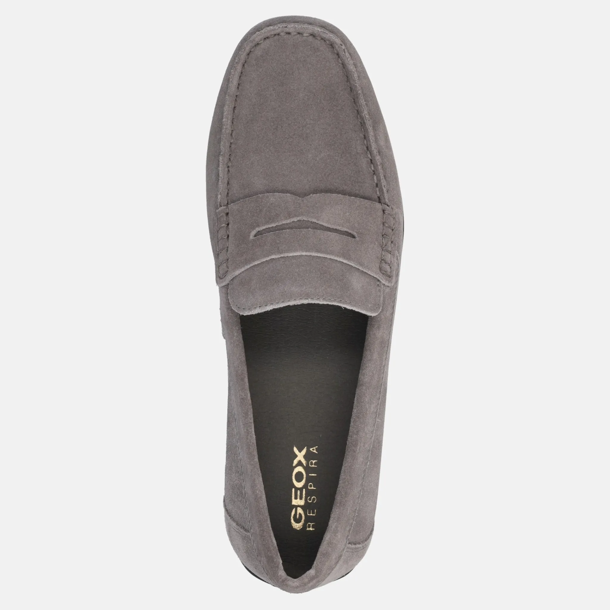 GEOX ASCANIO | Uomo Mocassini