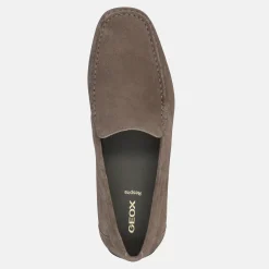 GEOX ASCANIO | Uomo Mocassini