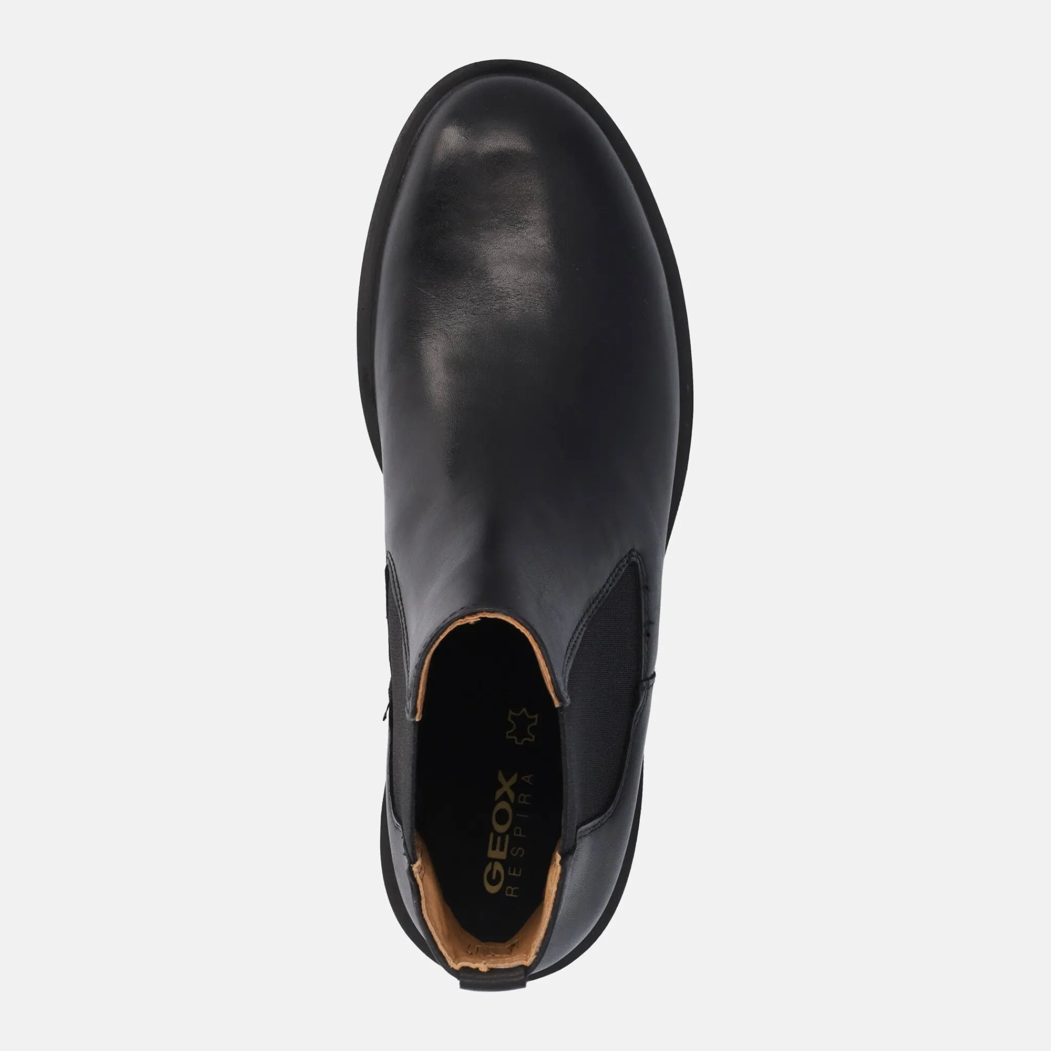 GEOX BEATLES SPHERICA | Donna Tronchetti