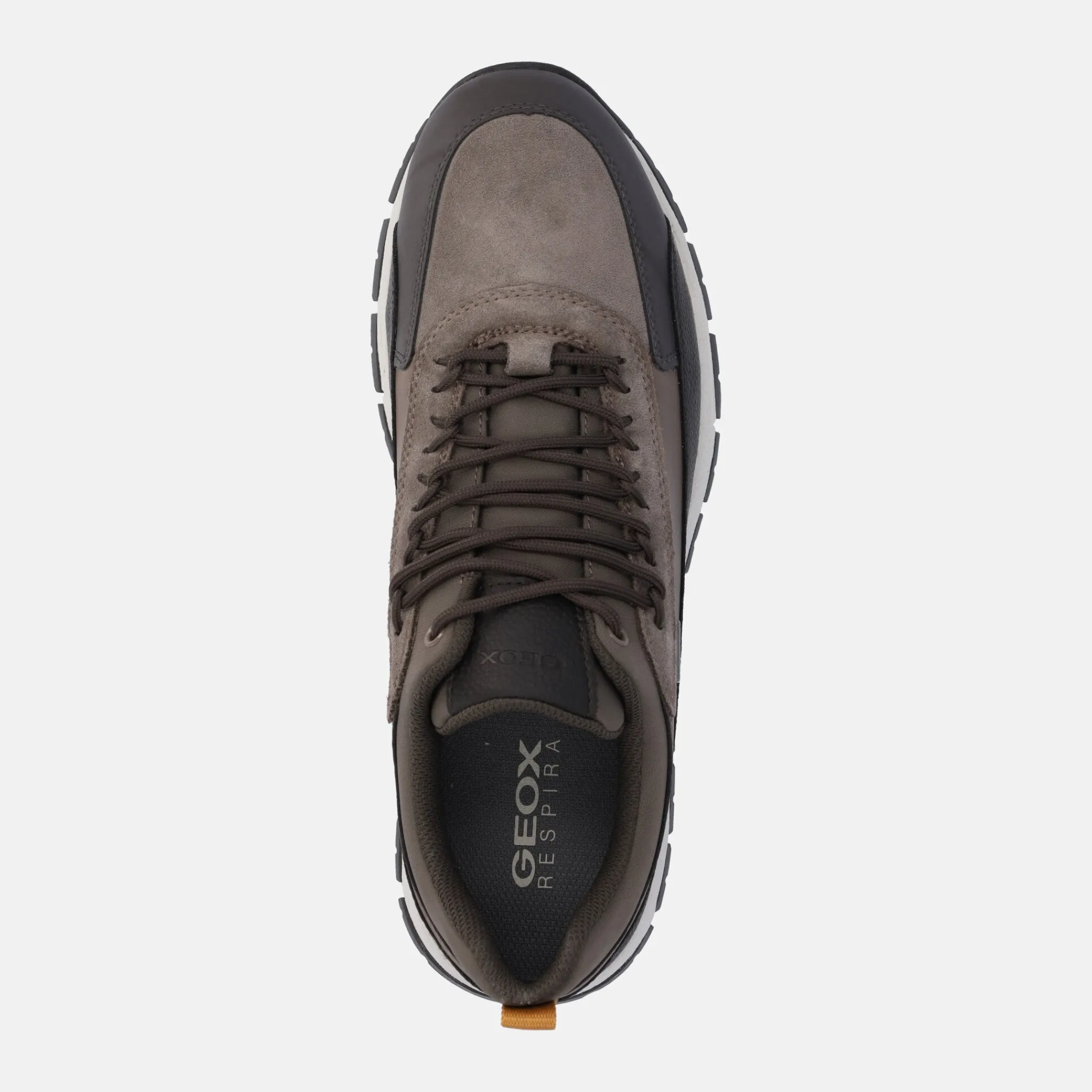 GEOX DELRAY | Uomo Sneakers