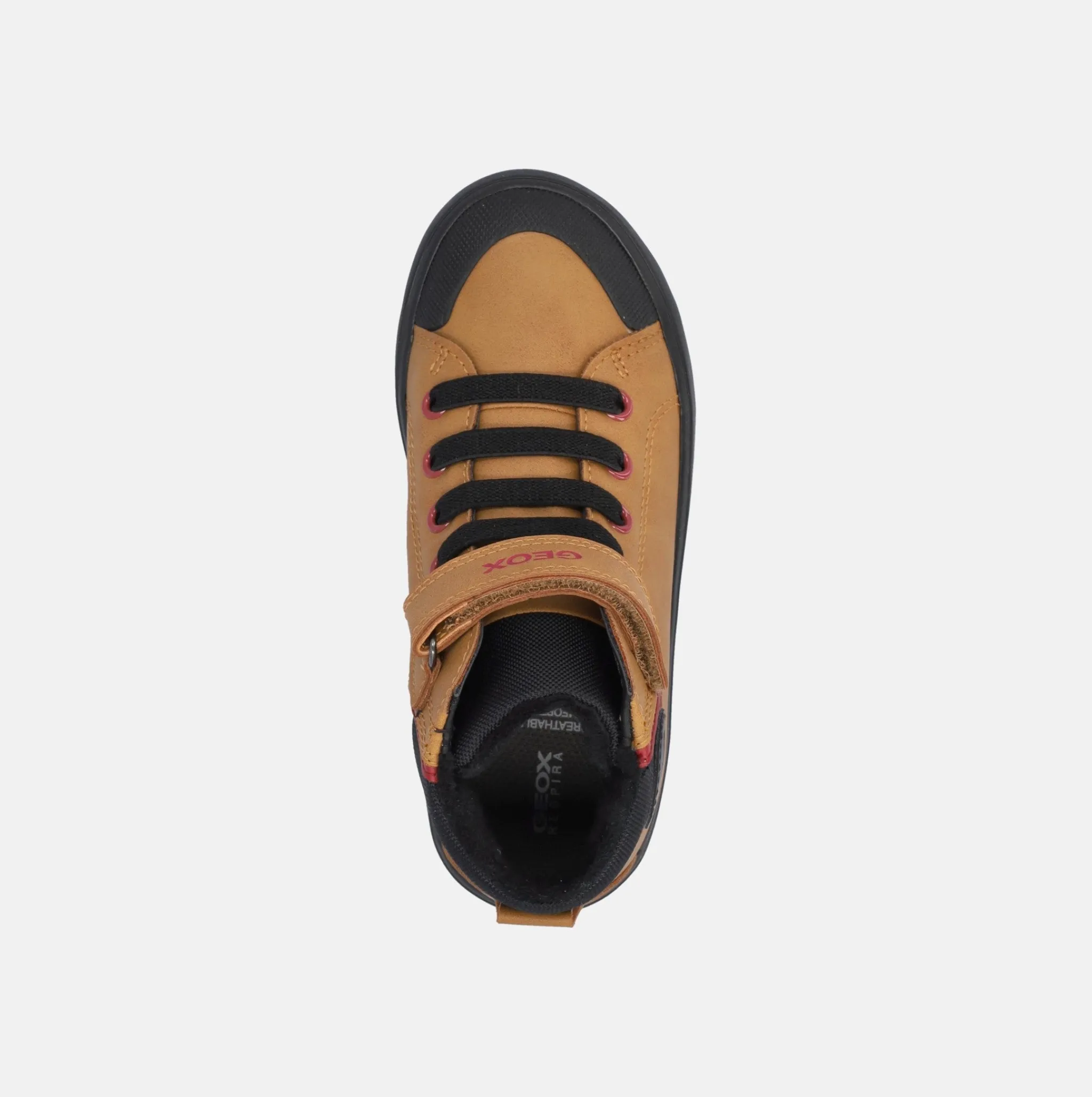 GEOX GISLI | Polacchini