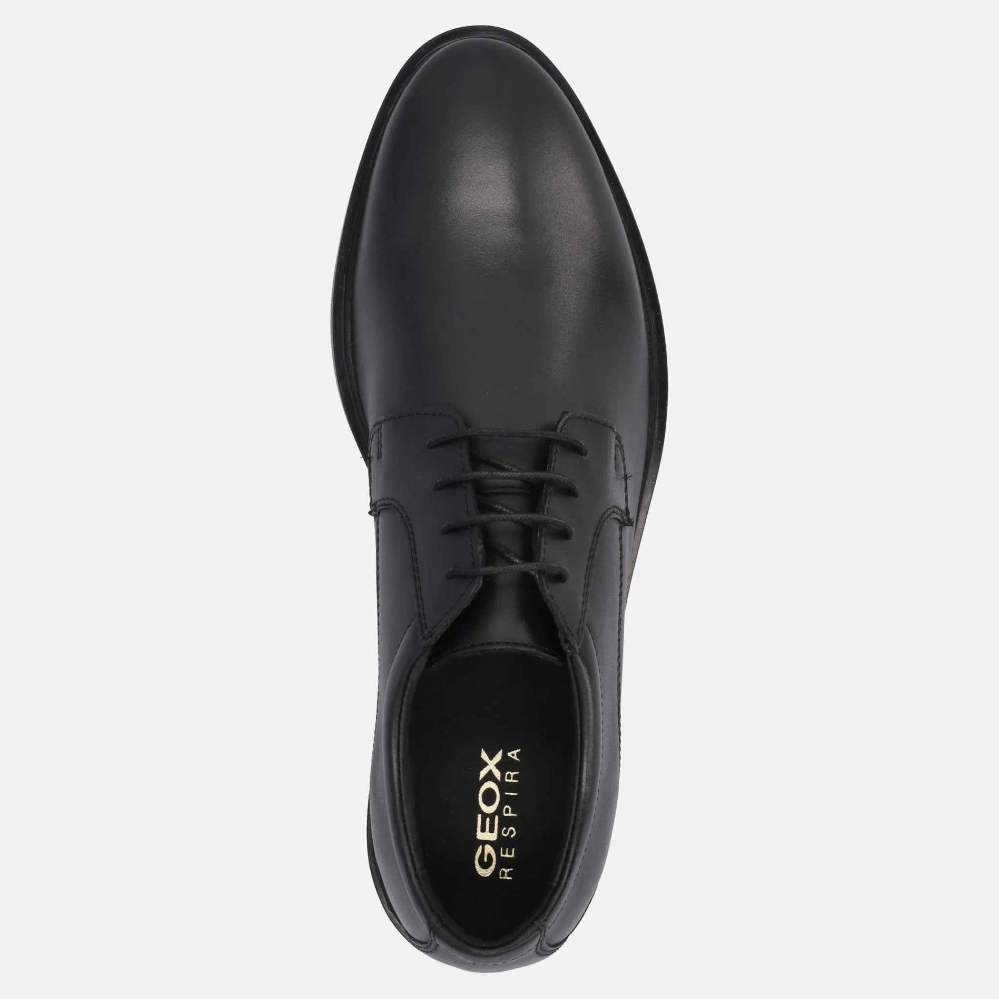 GEOX GLADWIN | Uomo Eleganti