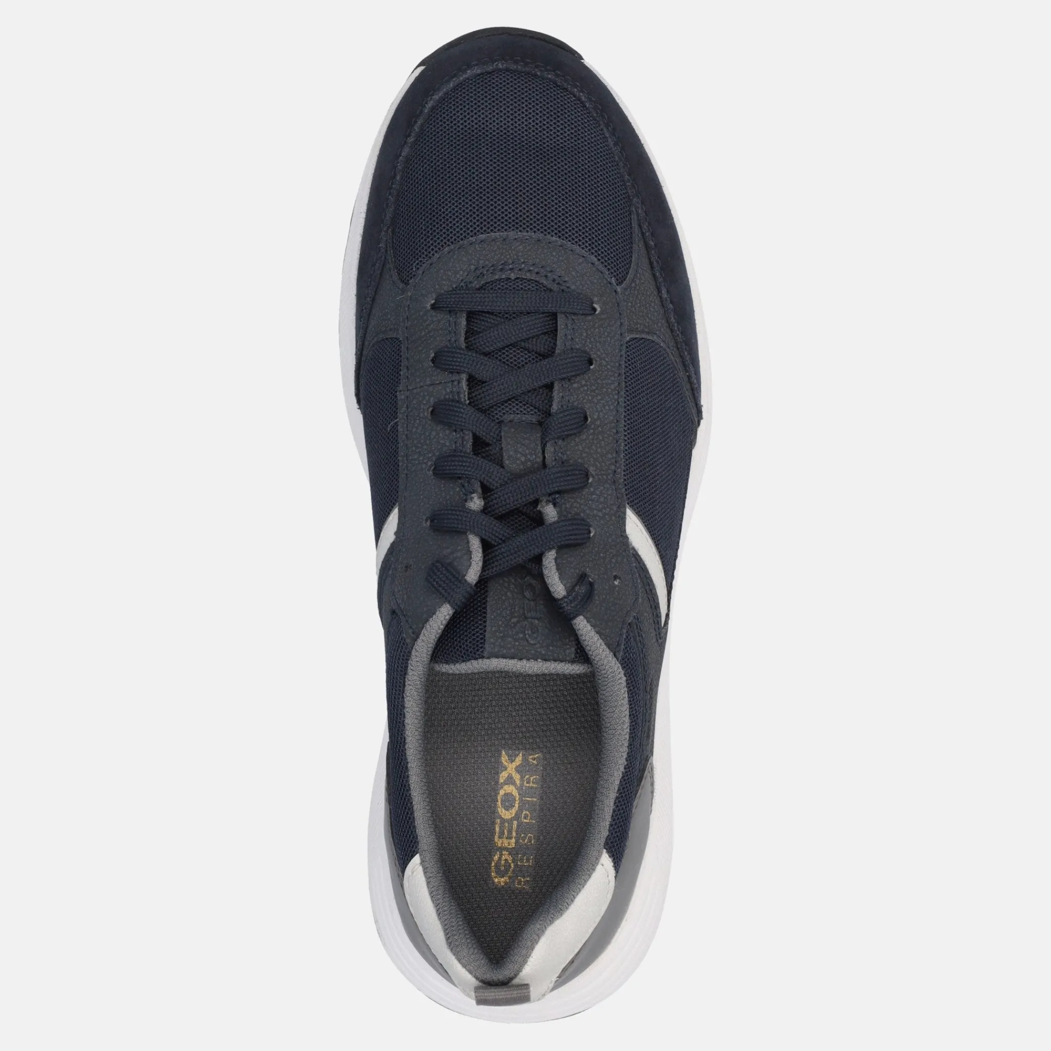 GEOX MOLVENO | Uomo Sneakers
