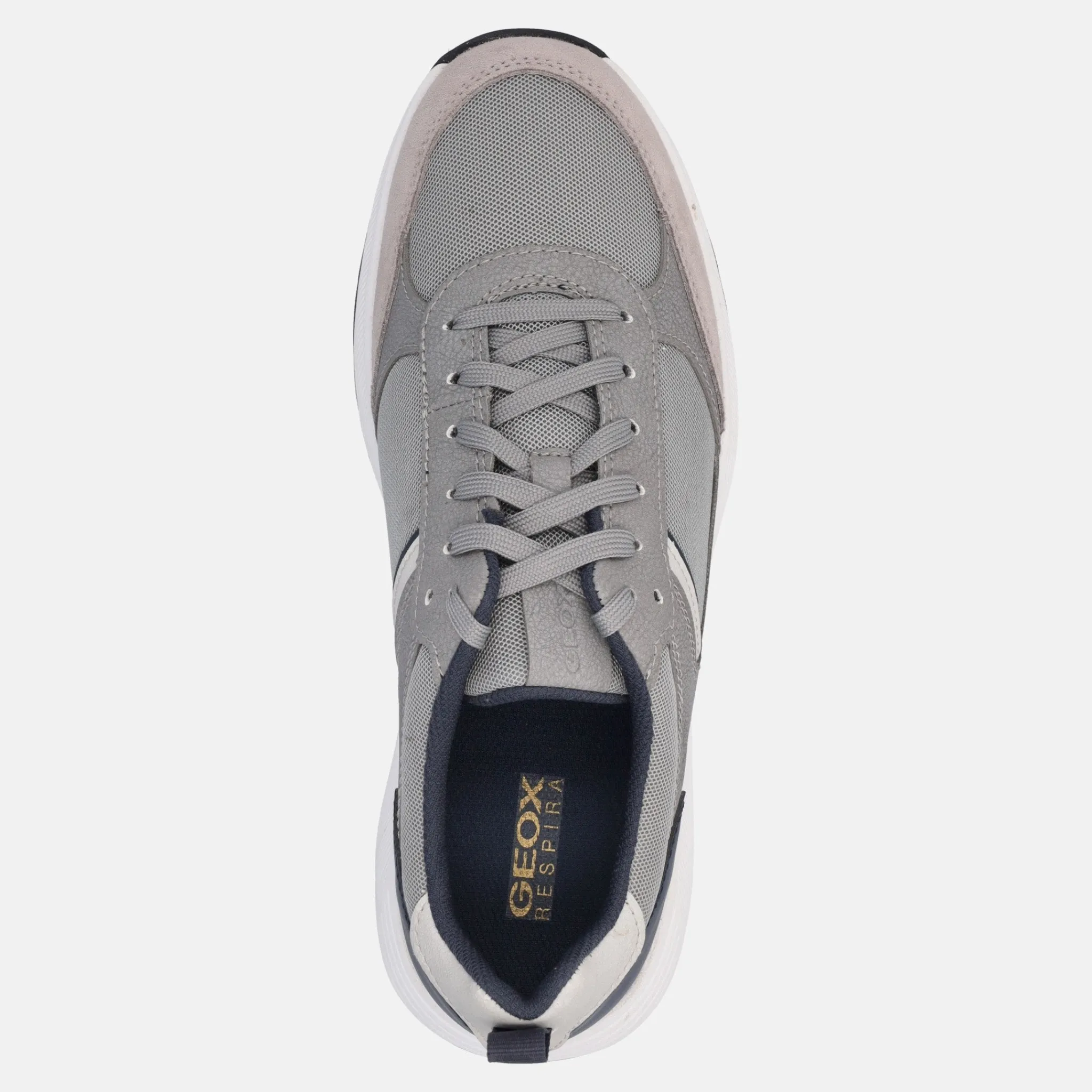 GEOX MOLVENO | Uomo Sneakers