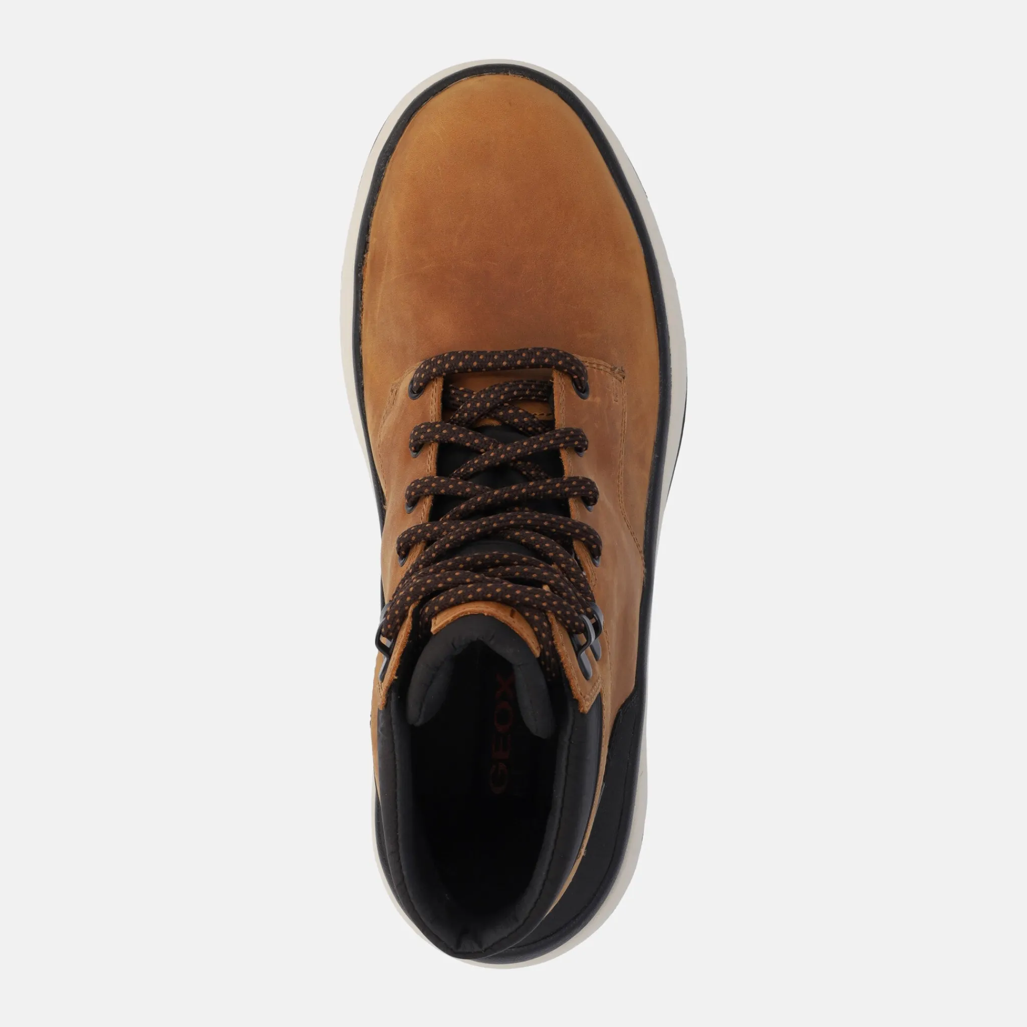 GEOX POLACCO | Uomo Polacco E Beatles