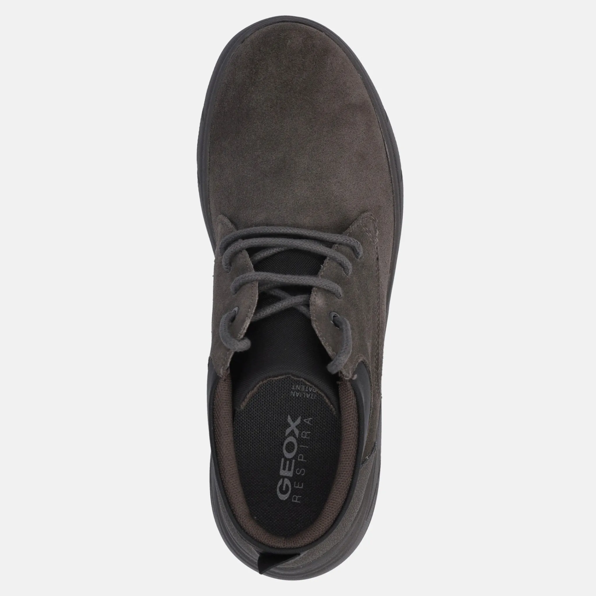 GEOX PORTELLO | Uomo Polacco E Beatles