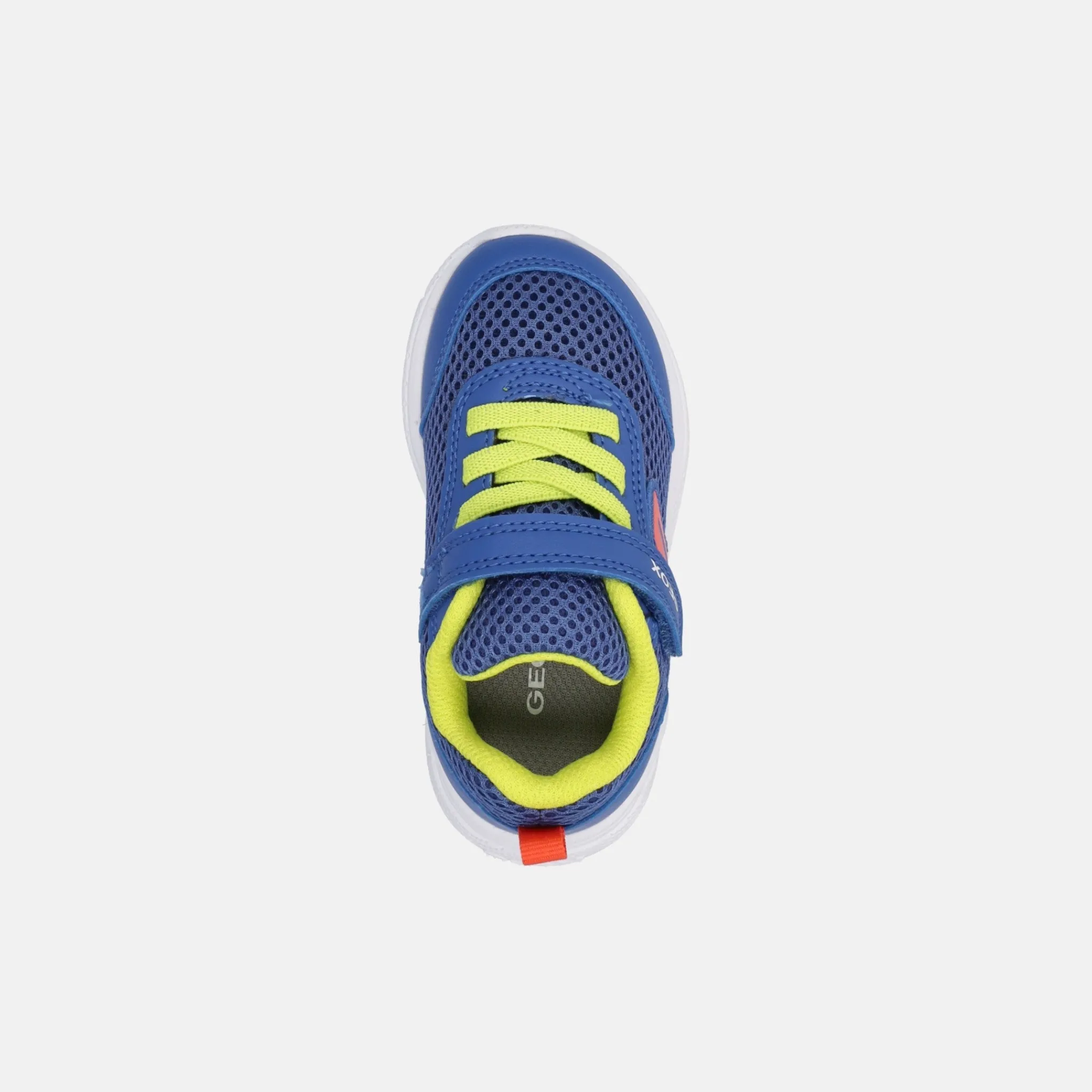 GEOX SPRINTYE | Primi Passi | Sneakers