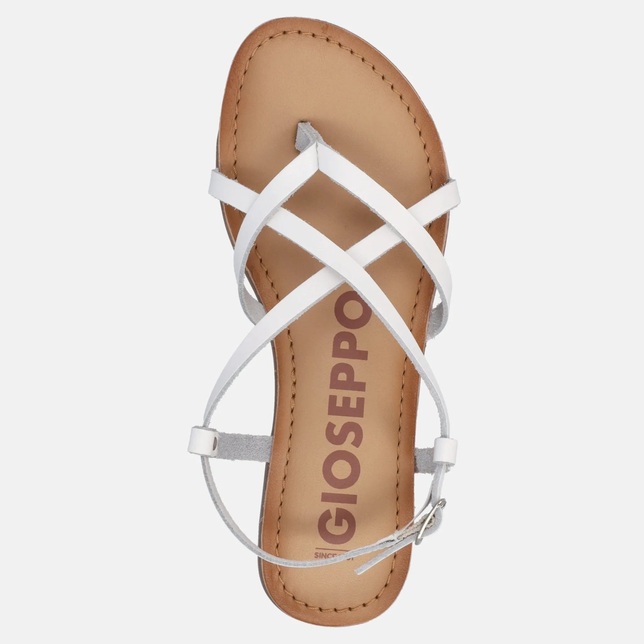 GIOSEPPO LELEX | Donna Sandali