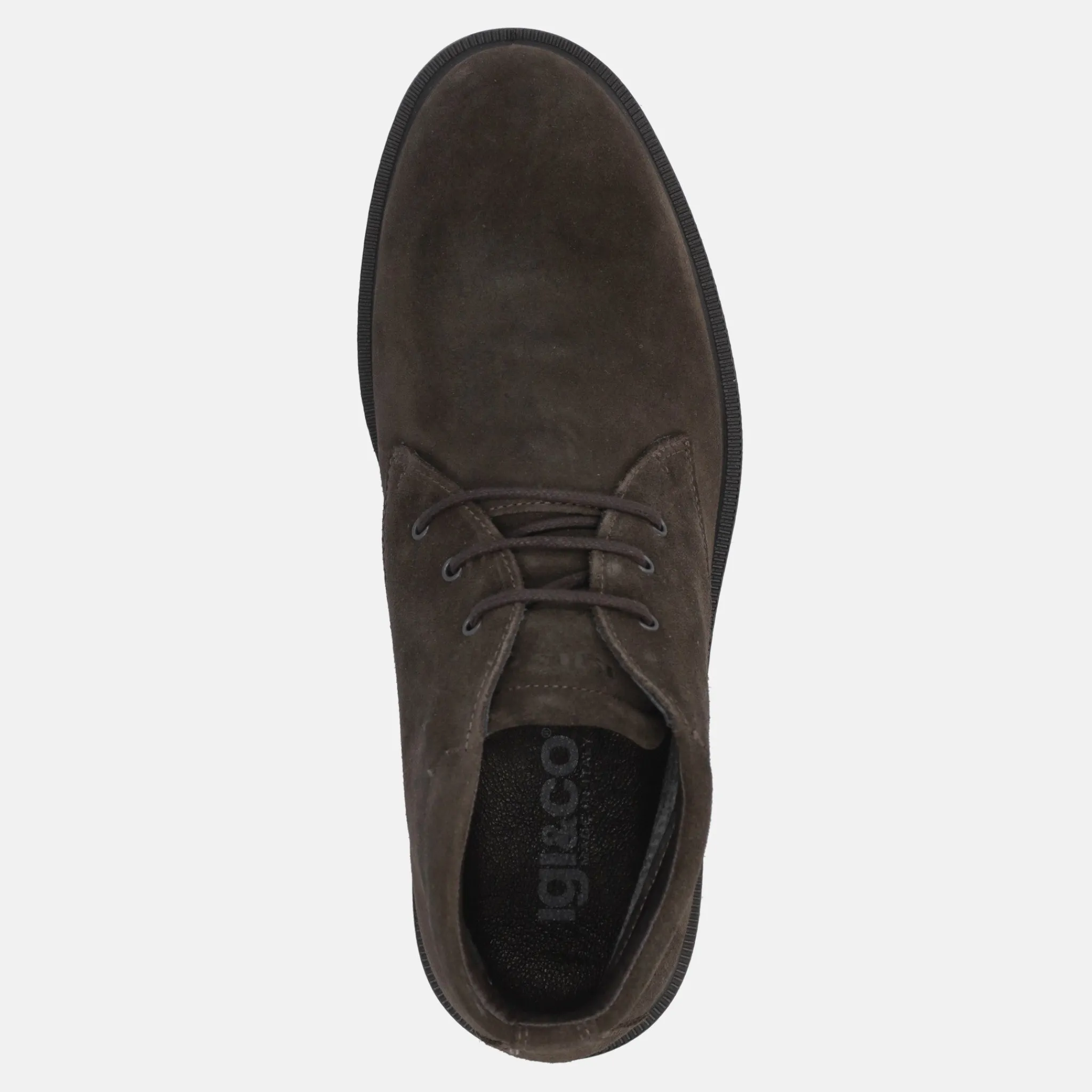 IGI E CO IGI&CO CITYROAD GTX | Uomo Polacco E Beatles