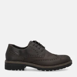 IGI E CO IGI&CO FREDDY GTX | Uomo Scarpe Civili