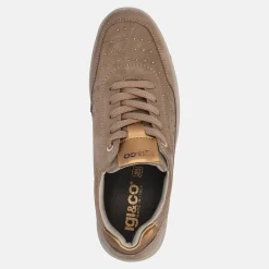 IGI E CO IGI&CO MARGO | Donna Sneakers
