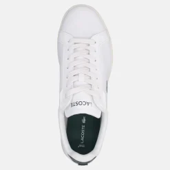 LACOSTE CARNABY PRO | Uomo Sneakers