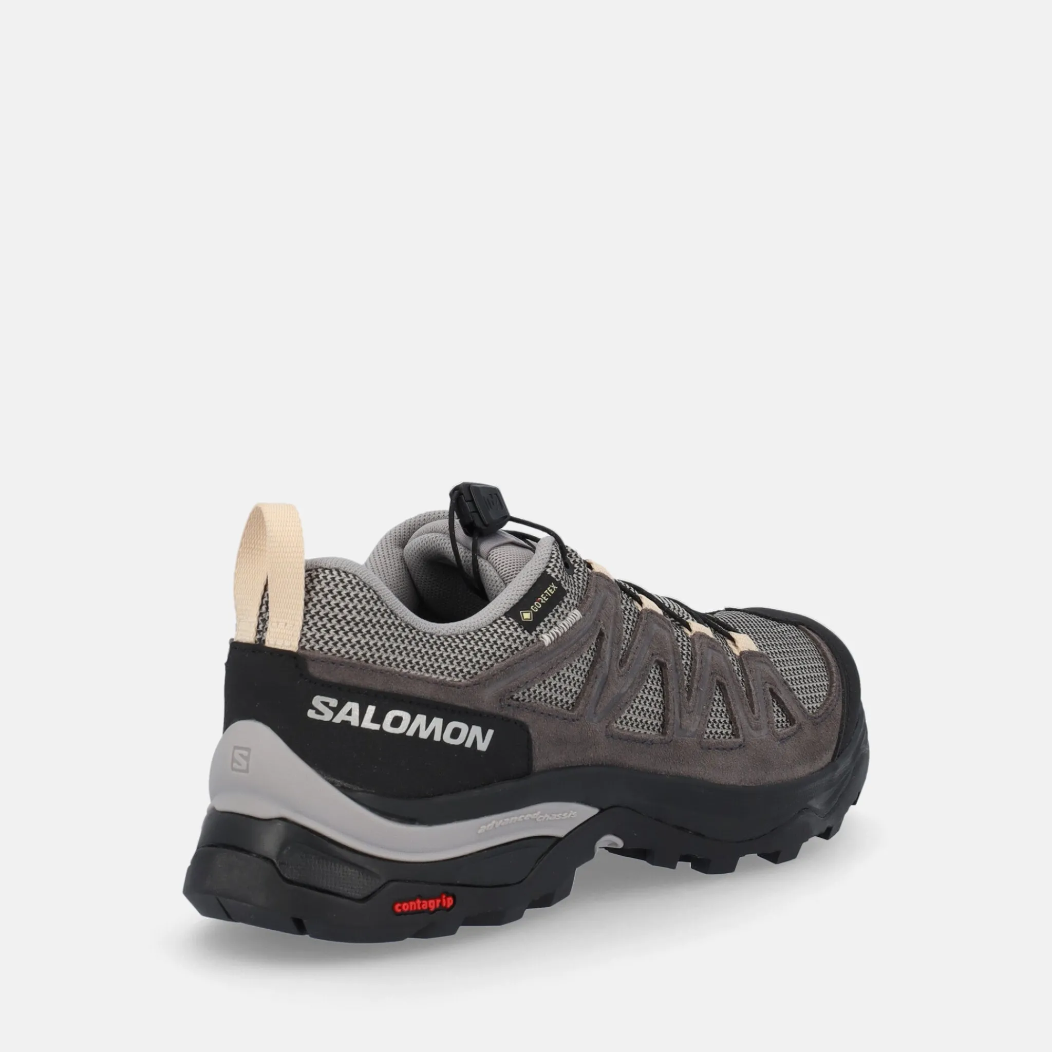SALOMON X WARD GTX | Trekking