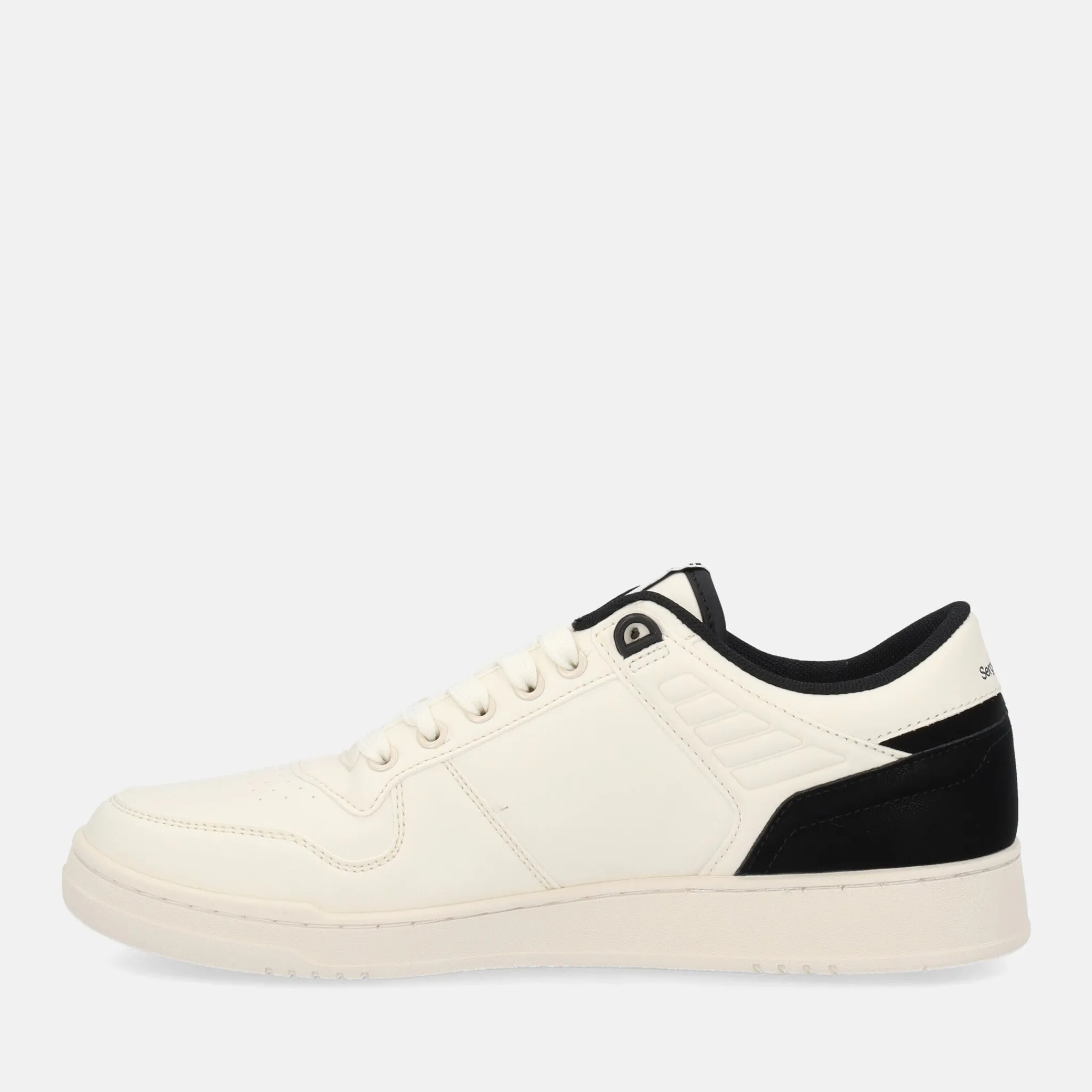 SERGIO TACCHINI SNEAKERS | Uomo Sneakers