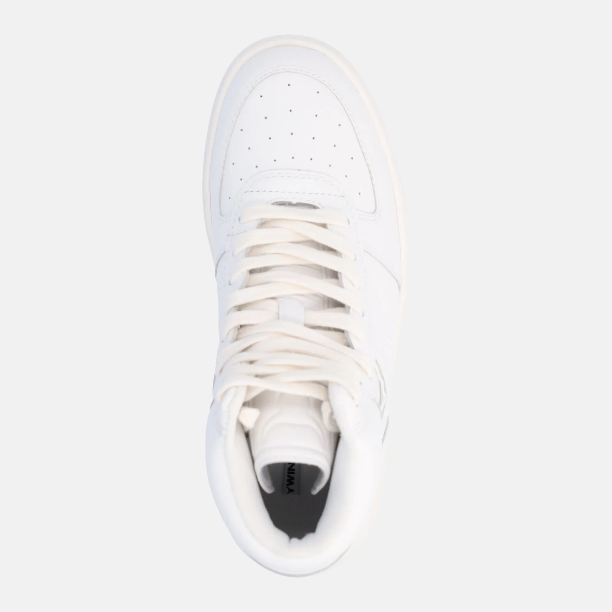 WINDSORSMITH Sneakers donna | Donna Sneakers