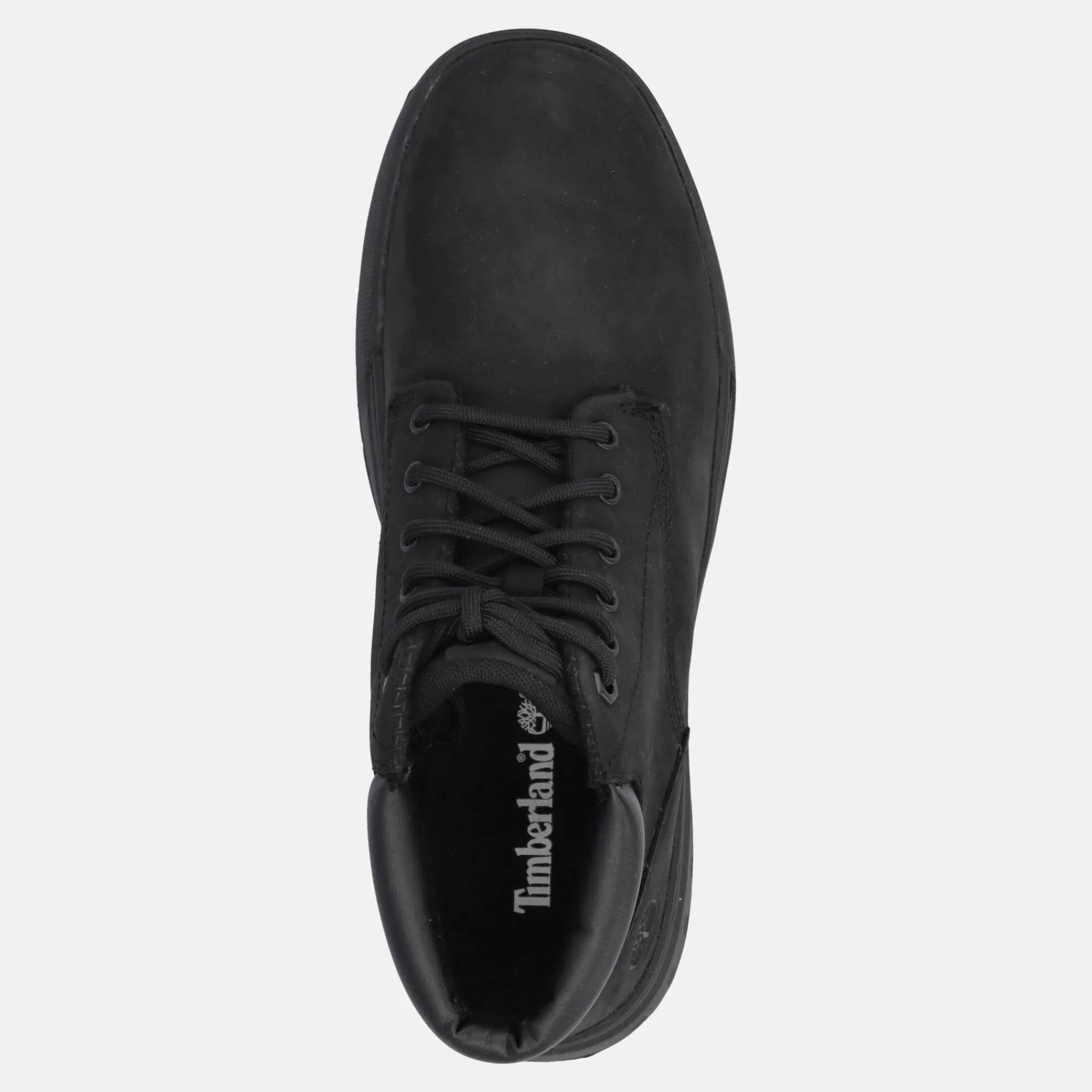 TIMBERLAND MAPLE GROVE | Uomo Polacco E Beatles