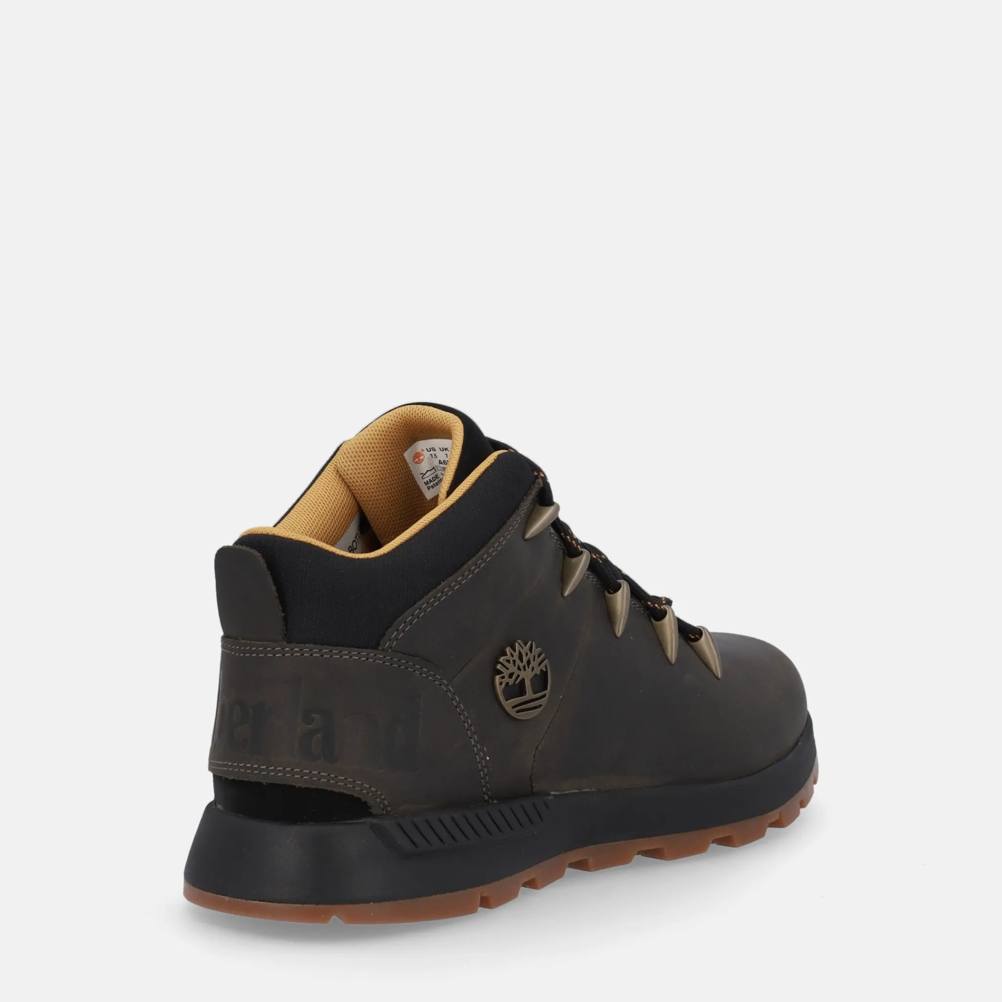 TIMBERLAND SPRINT TREKKER | Uomo Polacco E Beatles