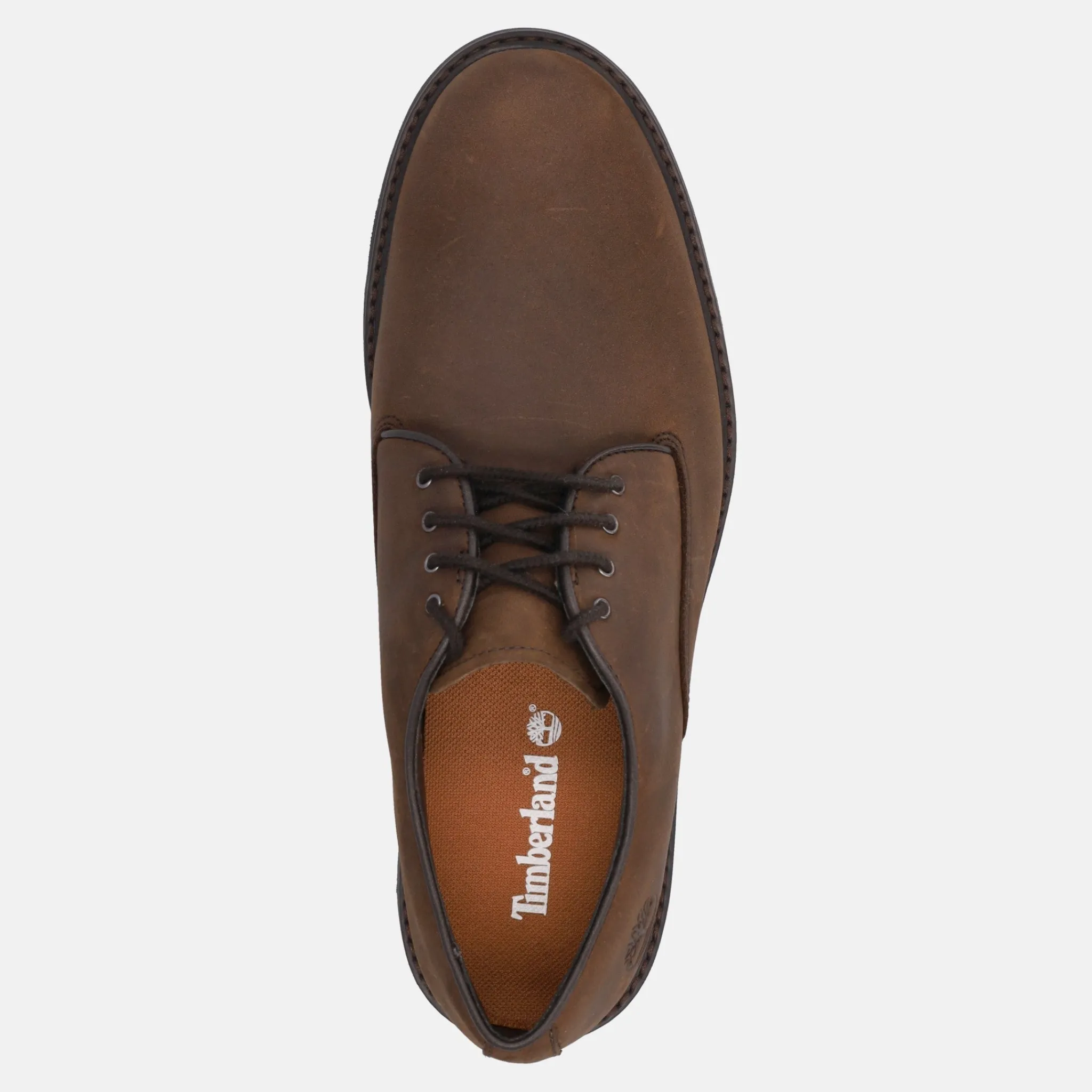 TIMBERLAND STORMBUCKS | Uomo Scarpe Civili