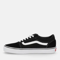 VANS WARD | Uomo Sneakers